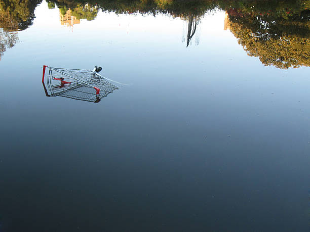 An abandoned shopping trolley submerged in water with reflections
