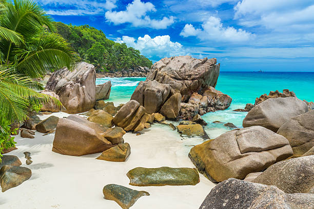 istock Anse Patates - tropical beach on island La Digue, Seychelles 492839720