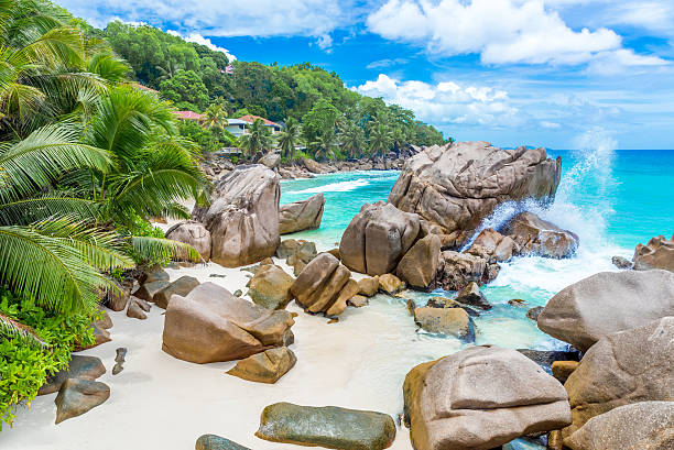 istock Anse Patates - tropical beach on island La Digue, Seychelles 492840722
