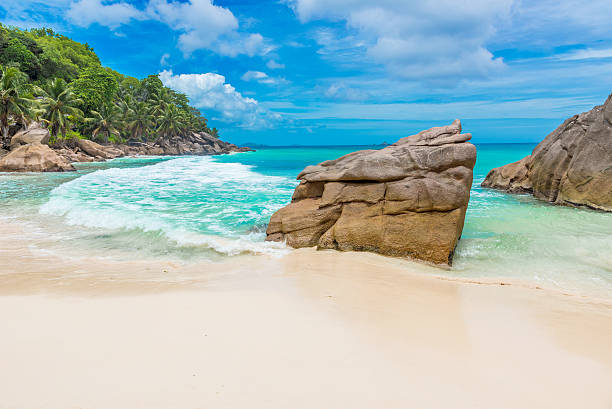 istock Anse Patates - tropical beach on island La Digue, Seychelles 492841816