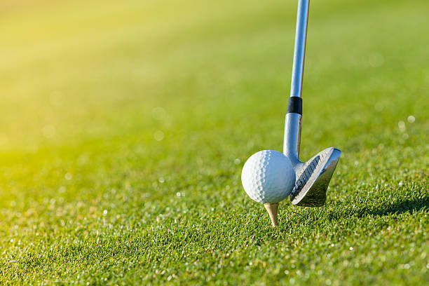 istock Golf club and ball in grass 492842444