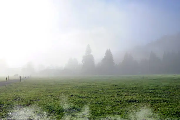 Bavarian landscape during a beautiful foggy morning