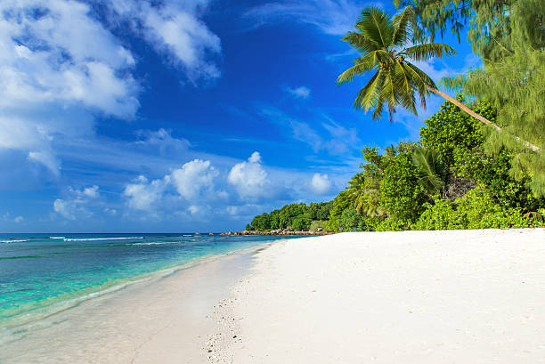 istock Anse Severe - beautiful beach on island La Digue, Seychelles 492843846