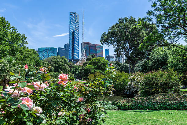 istock City of Melbourne, Australia 492844100