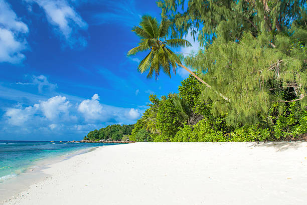 istock Anse Severe - beautiful beach on island La Digue, Seychelles 492844754