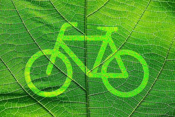 istock Bike sign on close up green leaf texture 492848532