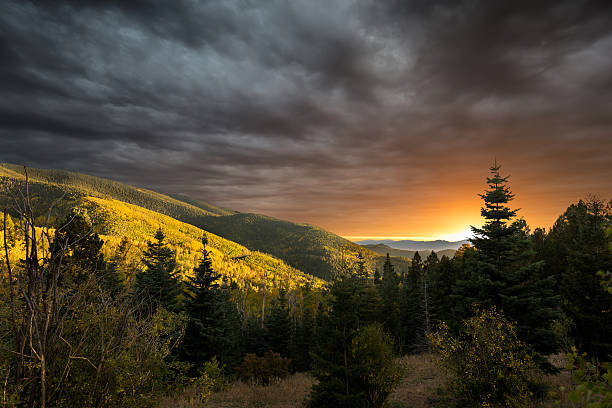 Along Hwy 395