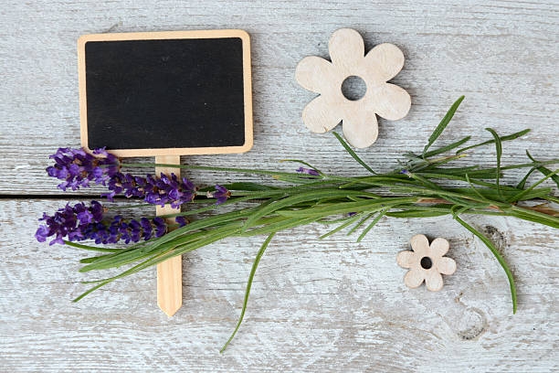 istock White wooden background with lavender, chalkboard and empty copy space 492849814