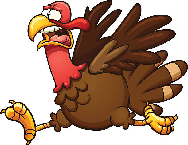 Scared Cartoon Turkey Stock Illustration - Download Image Now - Turkey -  Bird, Running, Cartoon - iStock