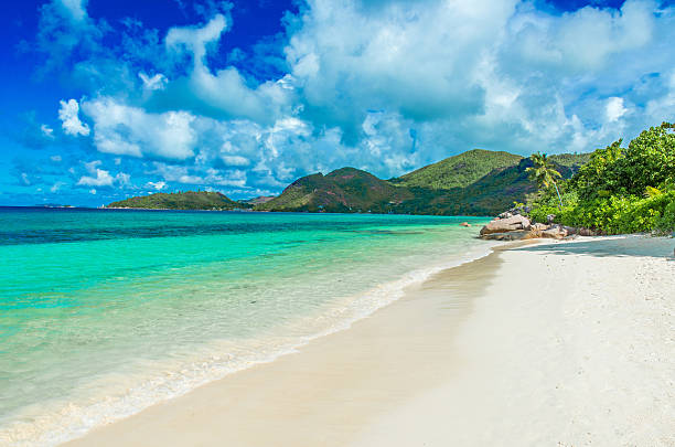 istock Beautiful beach, Island Praslin - Seychelles 492852232