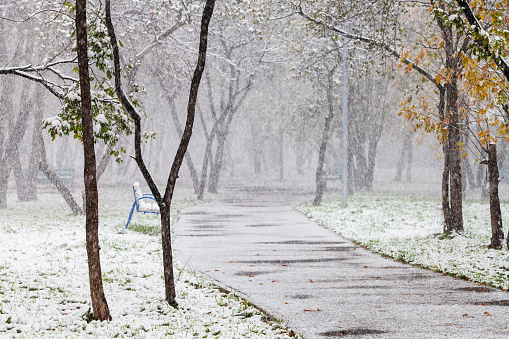 first snowfall in city park in autumn day
