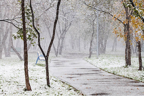 first snowfall in city park in autum stock photo