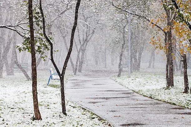 Photo of first snowfall in city park in autum