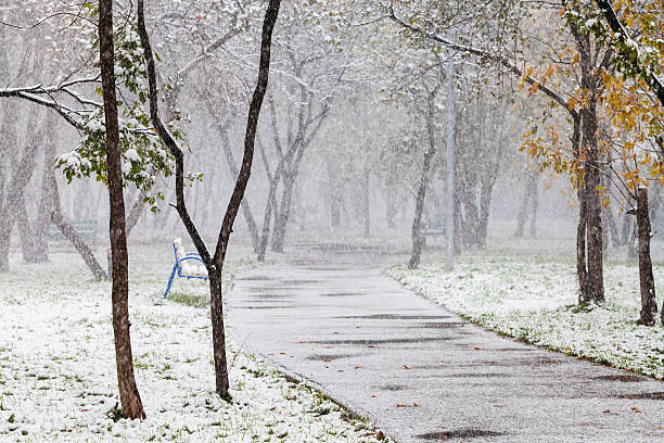 primeira snowfall na cidade parque em autum - scenics pedestrian walkway footpath bench imagens e fotografias de stock