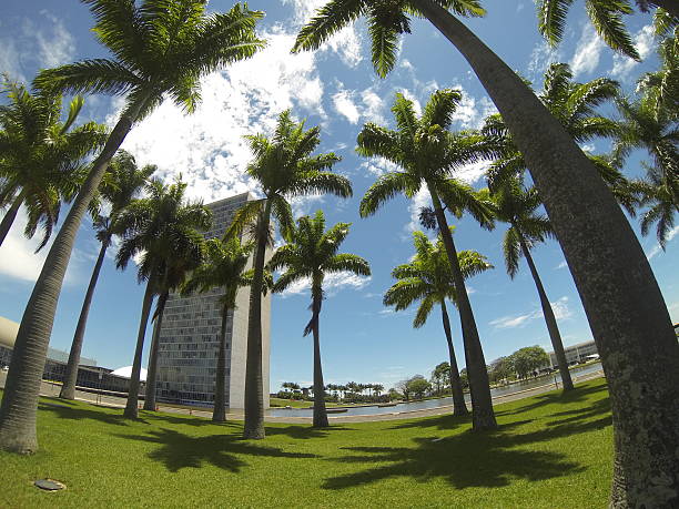 istock Congress Building at Brasilia, Brazil 492853608