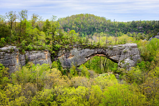 fiume big south fork e area ricreativa nazionale - cumberland river foto e immagini stock