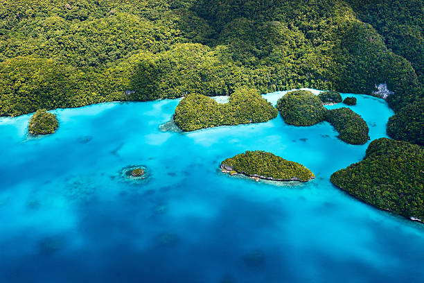 istock Palau islands from above 492855094
