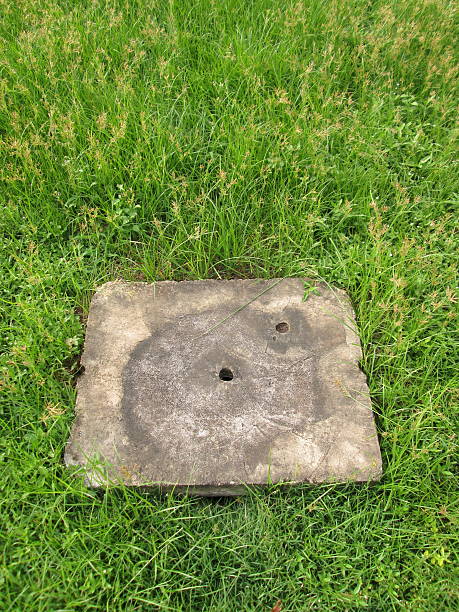 istock Square drain covers on the grass of city park 492860405