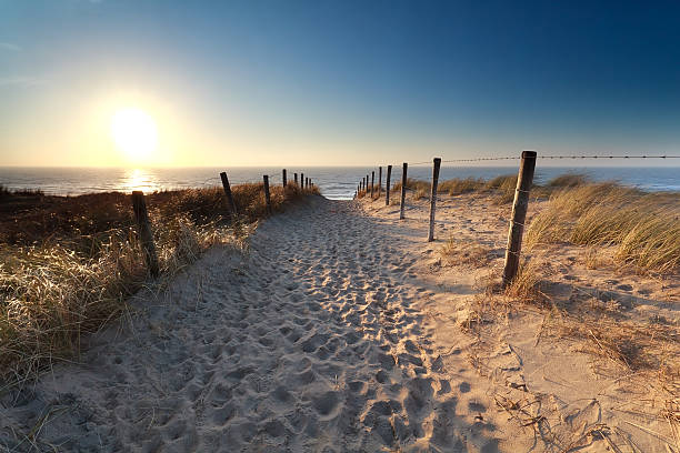 istock path on sand to North sea beach 492862123