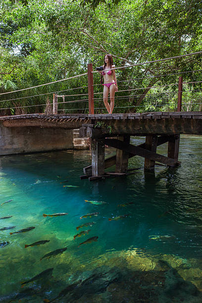 Woman with bikini stands on the bridge in Bonito Woman with bikini stands on the bridge in Bonito bonito brazil stock pictures, royalty-free photos & images