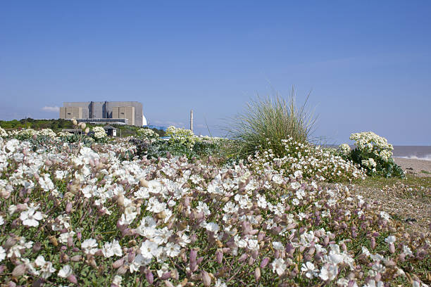 spiaggia di sizewell - sizewell b nuclear power station foto e immagini stock