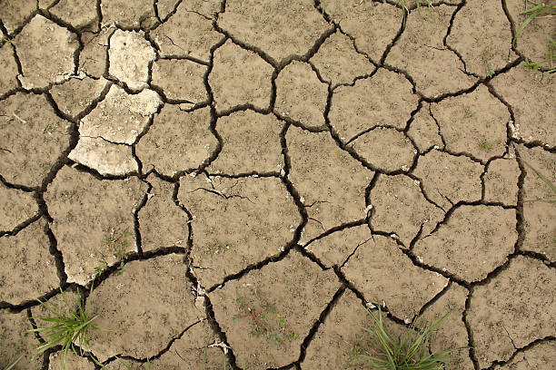 Dry soil stock photo