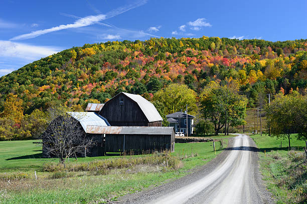 istock Road in Rural Pennsylvania 492879328
