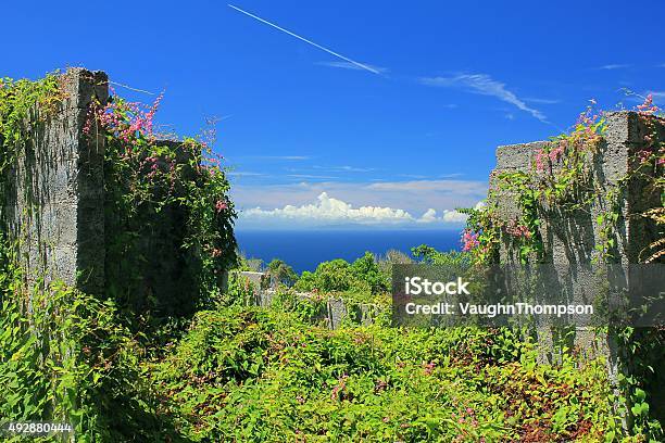 Overgrown Ruin On Saba Island Dutch Caribbean Stock Photo - Download Image Now - Saba - Antilles, Caribbean, Caribbean Sea