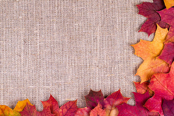 istock Background from autumn leaves of a maple on burlap 492881034