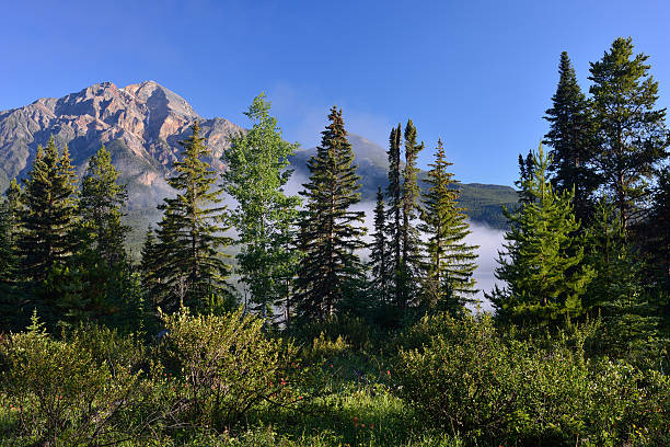 istock Pyramid Mountain of Jasper National Park at Sunrise 492881128