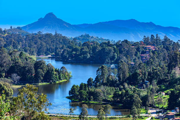 Kodaikanal, Tamil Nadu:  The Picturesque Lake In The British Colonial Town On The Palani Hills, In Southern India It is about half past seven in the morning in the Hill Station of Kodaikanal, in the South Indian state of Tamil Nadu. The town and the Lake were created by the British during the colonial period.  It was created as an alternative for Oothacamandalam, or Ooty as it is popularly known.  Perumal Peak can be seen clearly in the distance, to the left of the photo which was shot in the morning sunlight; horizontal format. Copy space tamil nadu landscape stock pictures, royalty-free photos & images