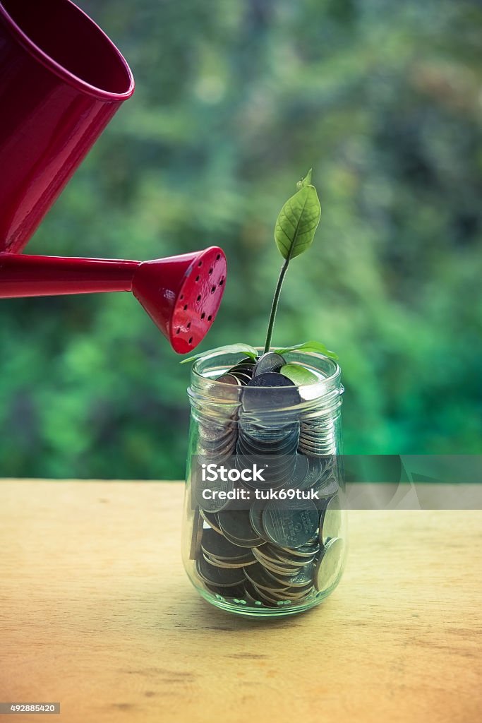 plant growing out of coins plant growing out of coins with filter effect retro vintage style 2015 Stock Photo