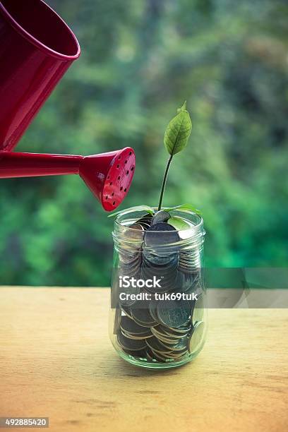 Plant Growing Out Of Coins Stock Photo - Download Image Now - 2015, Bank - Financial Building, Banking