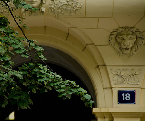 Linden branch over building 18