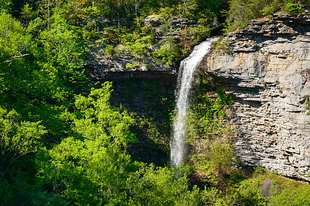 istock Little River Canyon National Preserve 492885958