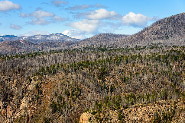 istock Valles Caldera National Preserve 492886306