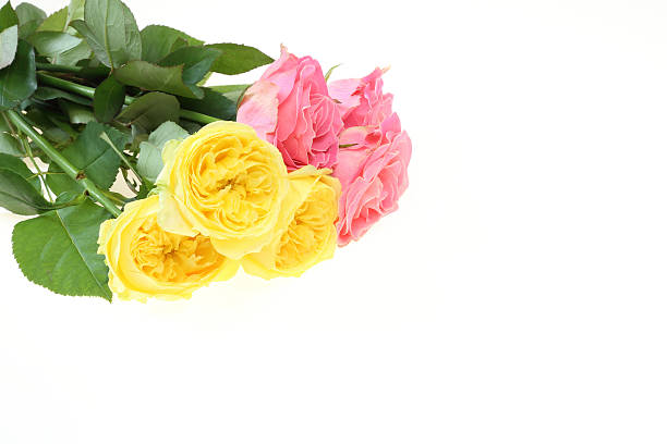 istock Bouquet of roses 492886560