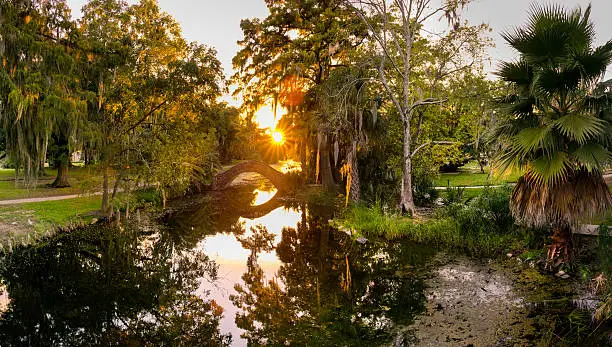 Photo of Stone Bridge Over Swamp, City Park New Orleans