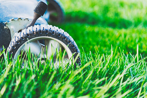 istock Lawnmower in freshly mowed lawn with uncut grass in foreground 492887198