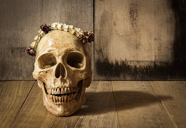 istock human skull and garland jasmine still life 492887232