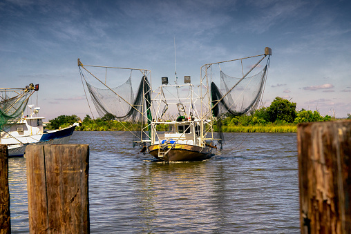 Commercial shrimp fishing boat