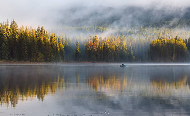istock Foggy Morning at the Lake 492888430