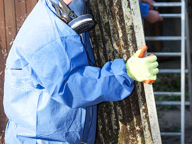 azbest faliste dachowe karta zostanie usunięte i zaplombowane - hazardous materials protection zdjęcia i obrazy z banku zdjęć