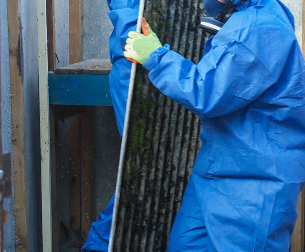 Asbestos corrugated roofing sheet being removed and sealed stock photo