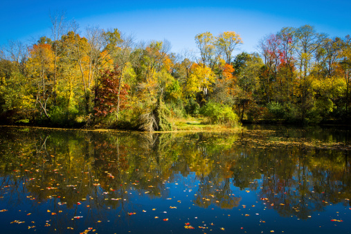 Beautiful trees are reflected in the water at the Delaware and Raritan Canal State Park in New Jersey.