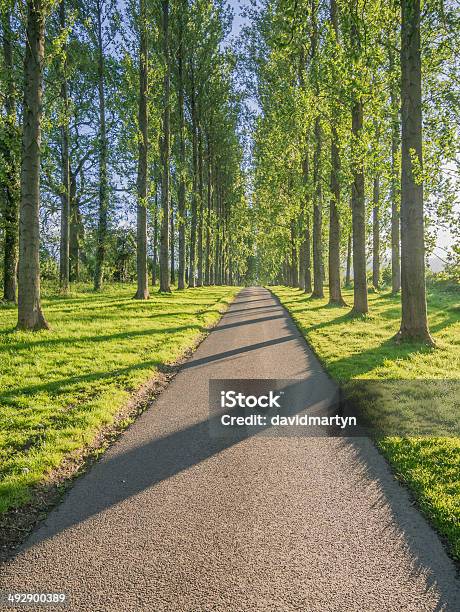 Country Road Stock Photo - Download Image Now - Agricultural Field, Agriculture, Community