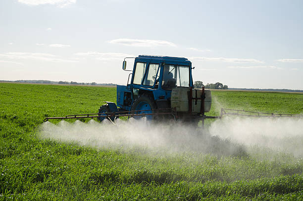 champ de tracteur de l'engrais et des pesticides insecticide - summer cereal plant sunlight sun photos et images de collection