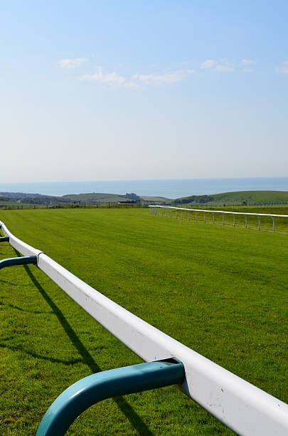 istock Horse racecourse in Southern England. 492901227