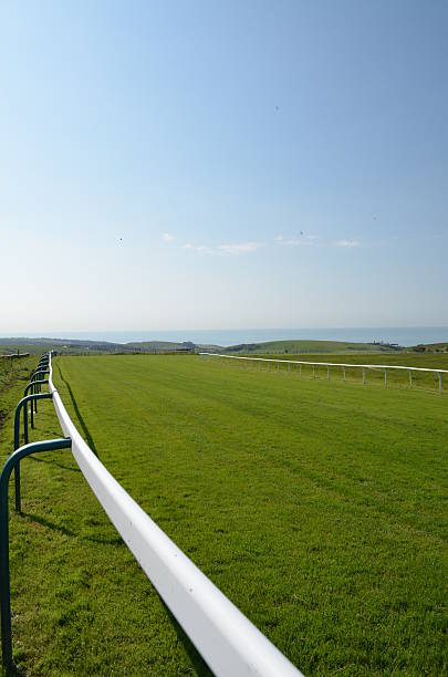 istock Horse racecourse in Southern England. 492901241