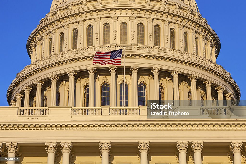 Bâtiment du Capitole des États-Unis - Photo de Arbre libre de droits